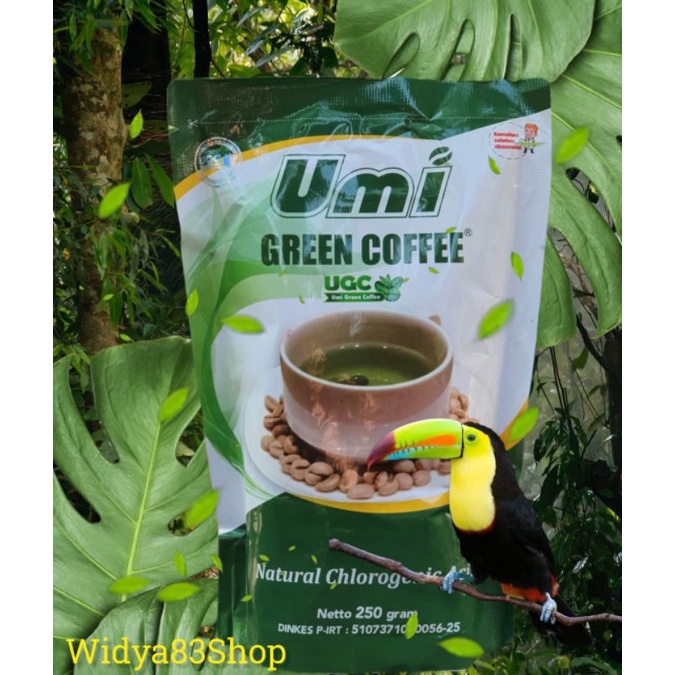 UMI Green Coffee UGC 100% Original