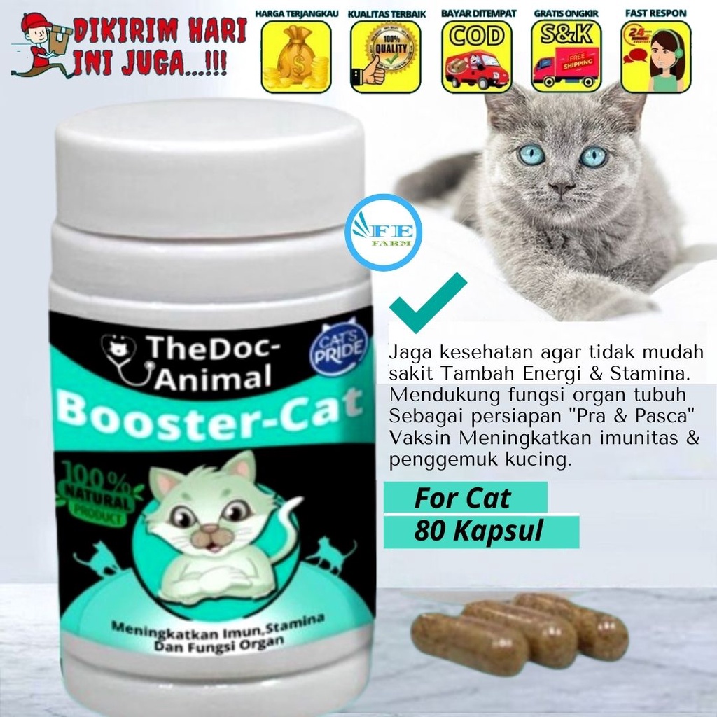 VITAMIN KUCING IMUNITAS STAMINA TUBUH BOOSTER CAT FEFARM