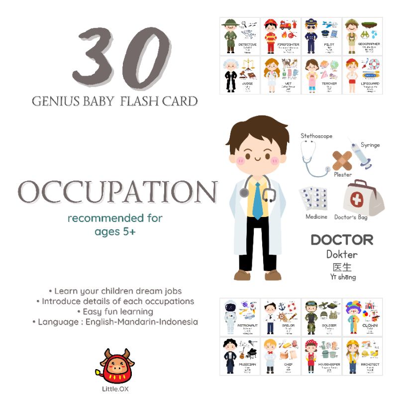 Flash card Occupation pekerjaan job kartu pintar belajar anak toddler