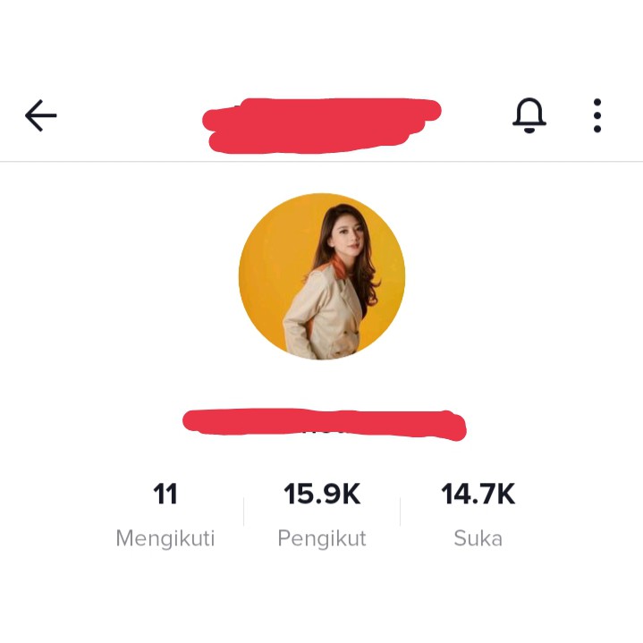 Jual Akun TikTok Followers Real Human Murah Variasi 10K-20K Followers