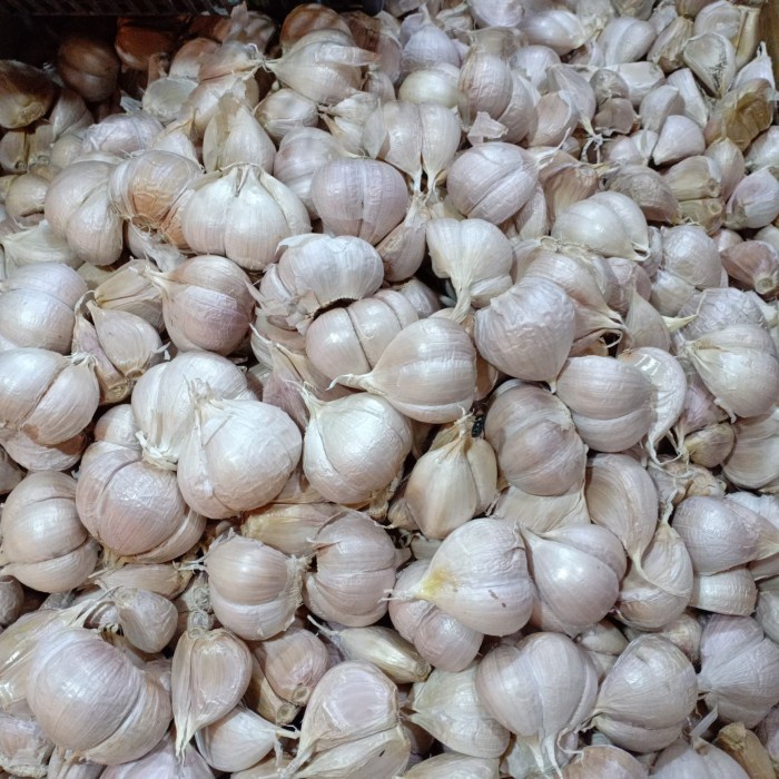 

uuttudd Bawang Putih Kating Super - 500G Fsfs201