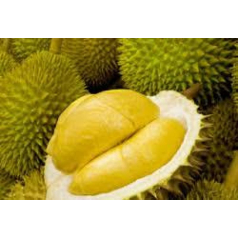 

Durian blackthorn kupas 2kg