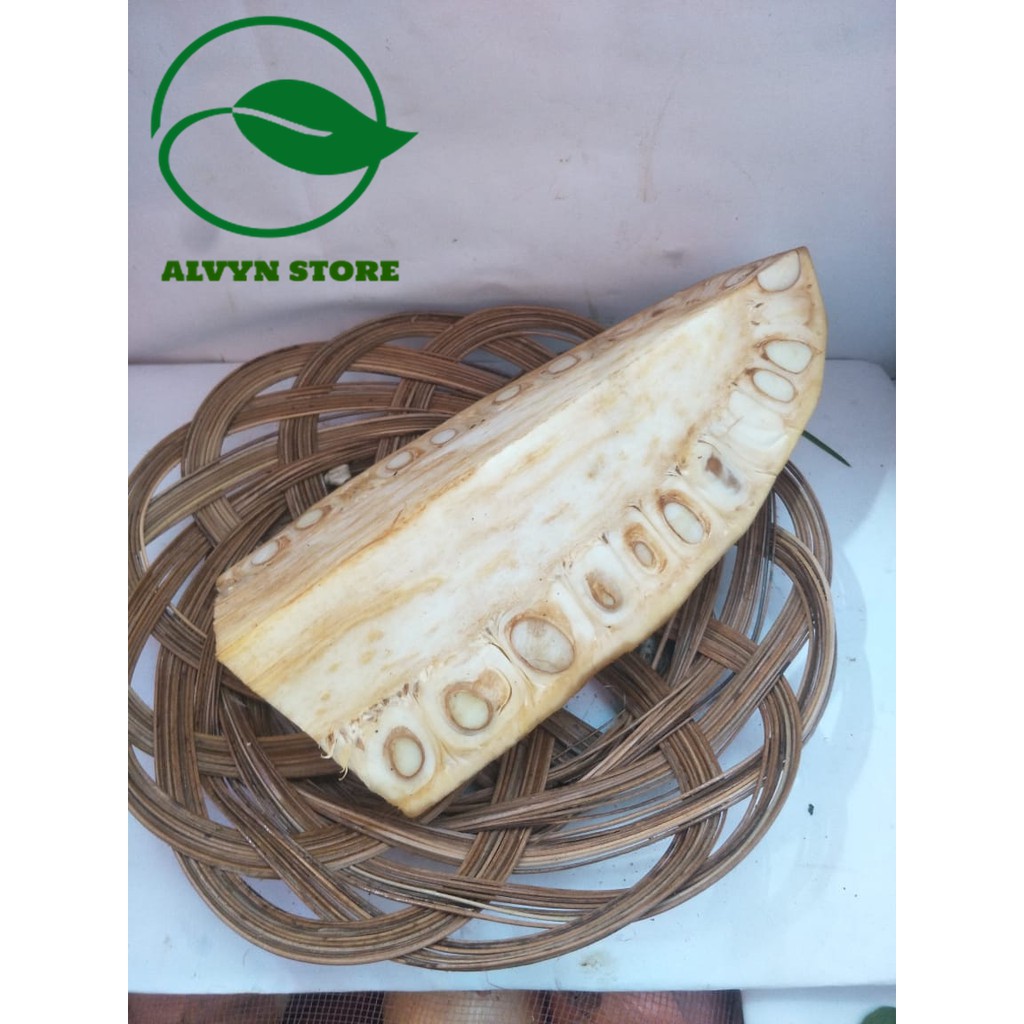 

NAGKA SAYUR