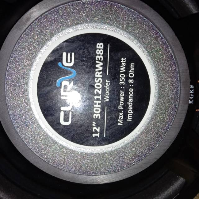 sepeker curve 12inch