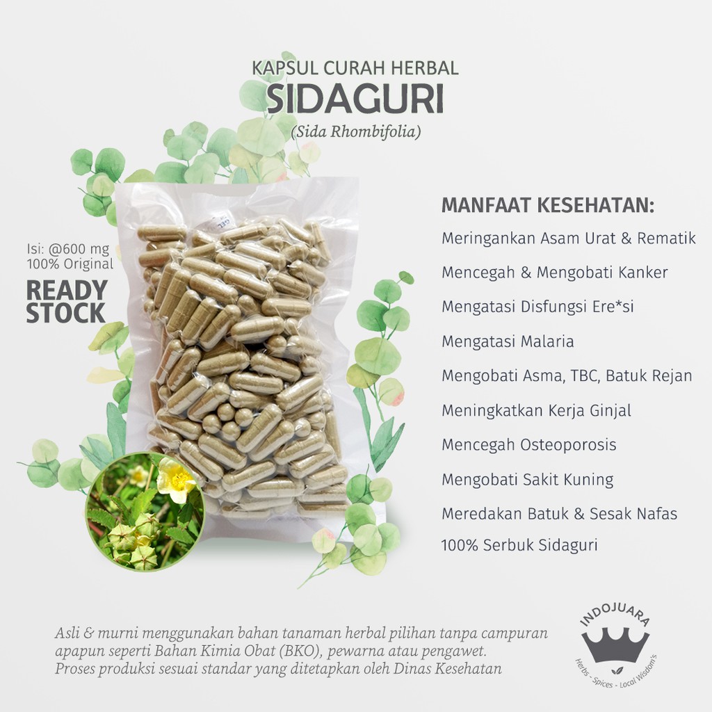 

SIDAGURI 100 Kapsul Curah Herbal Lemah Syahwat Bisul Kanker Syaraf Osteoporosis Asam Urat 600mg
