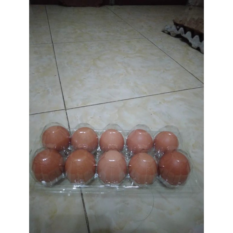 

Telur ayam negri isi 10 butir