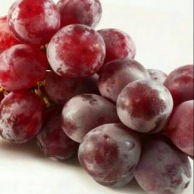 SUPER SALE| Bibit Buah Anggur Import Manis jumbo Merah Manis Red Globe Cocok Disegal cuaca KONDISI B