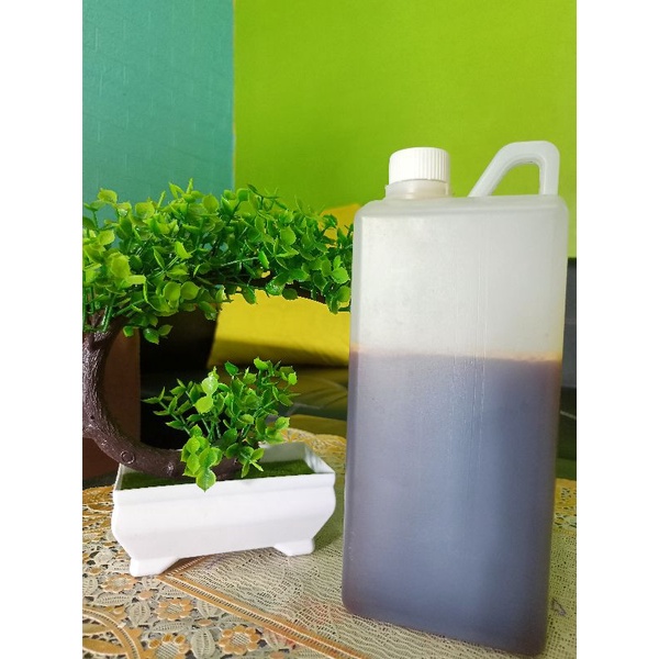 

MADU MURNI ASLI 100% | NEKTAR MULTIFORA AKASIA CARVA 1KG