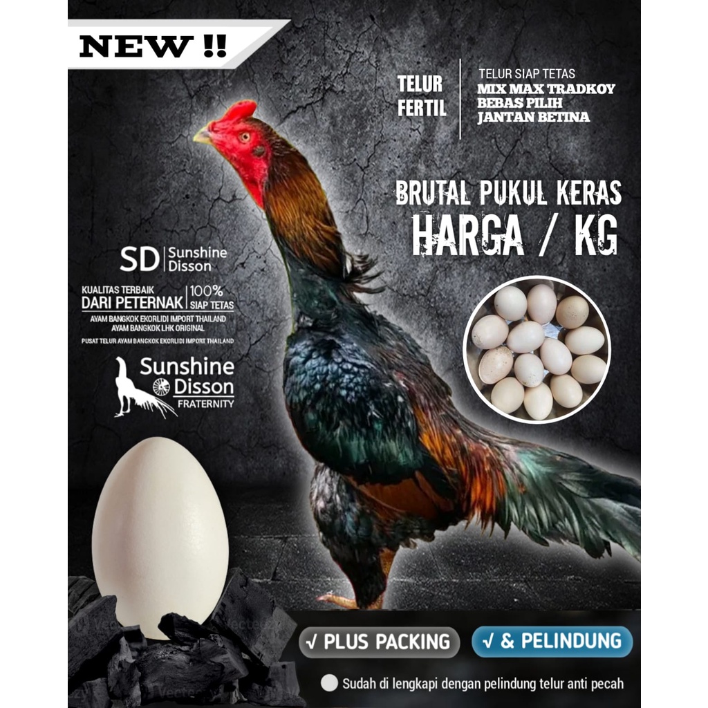 ayam bangkok pakhoy lock brakot super speed line f1 telur fertil harga perkilogram