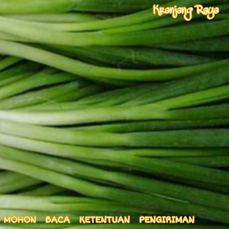 Daun bawang kecil