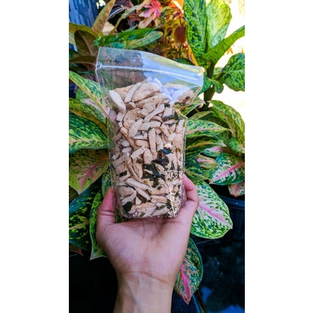 

Basreng Original/Asin