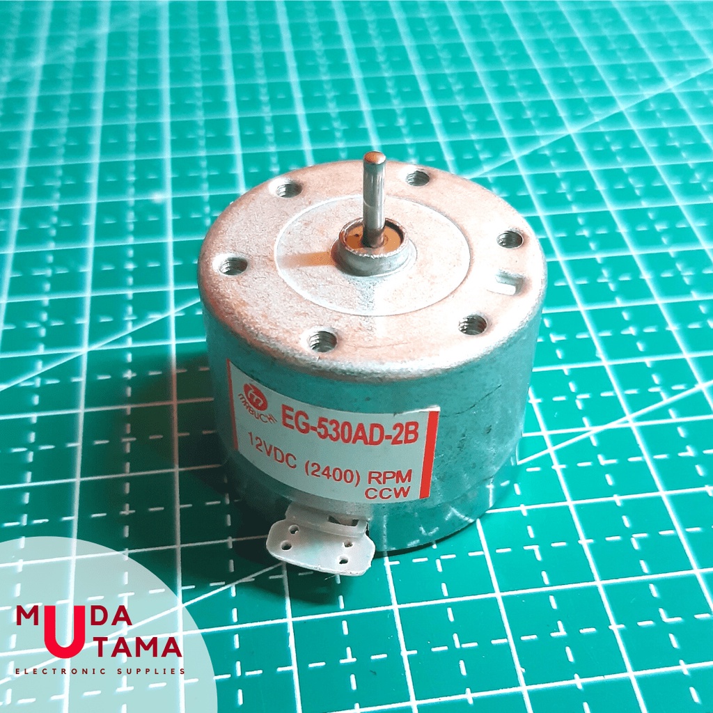 Dinamo Ayunan Anak-anak Polar - Dinamo 12 volt Dinamo 12VDC