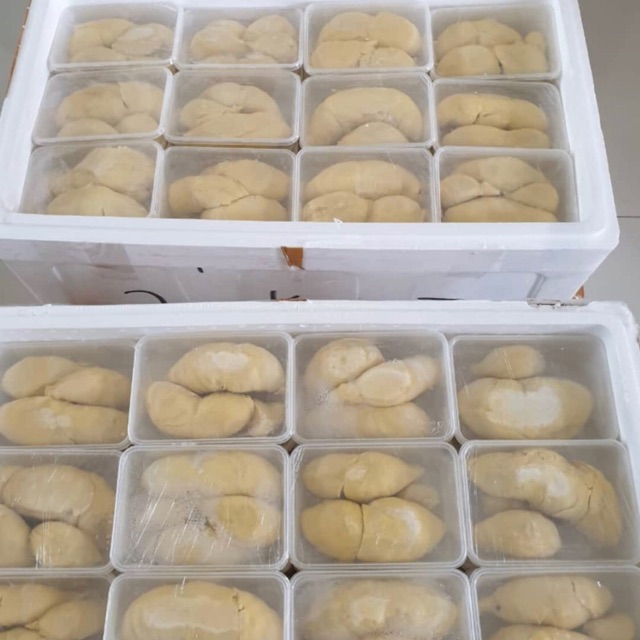 

durian montong palu fresh 500gr super lezat