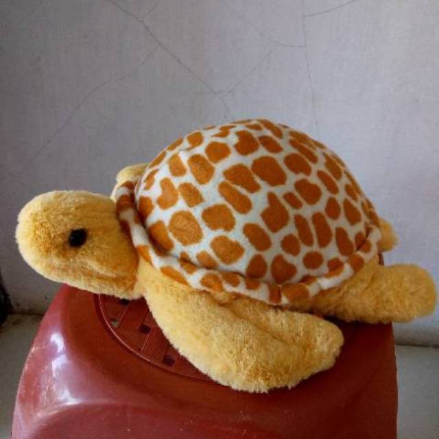 Boneka Kura Kura M Murah