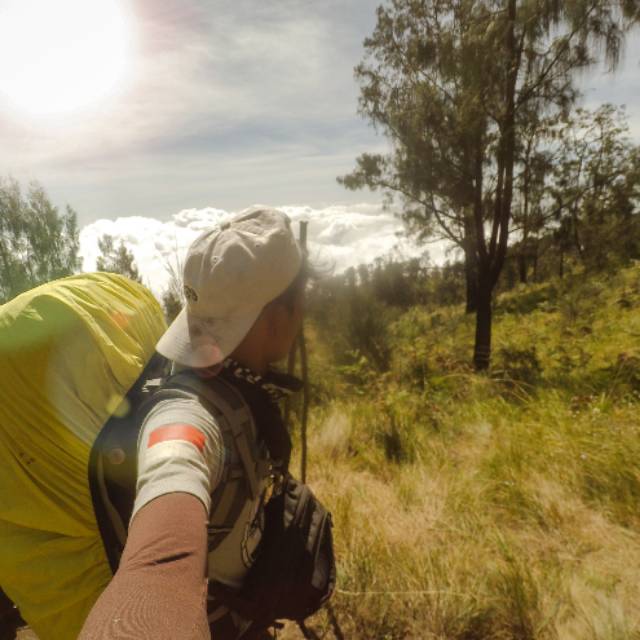 Buku Survival Teknik Bertahan Hidup Di Alam Bebas Info