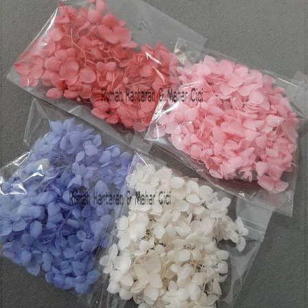 1-2gr hydrangea preserved/bunga hydrangea kering/dried hydrangea