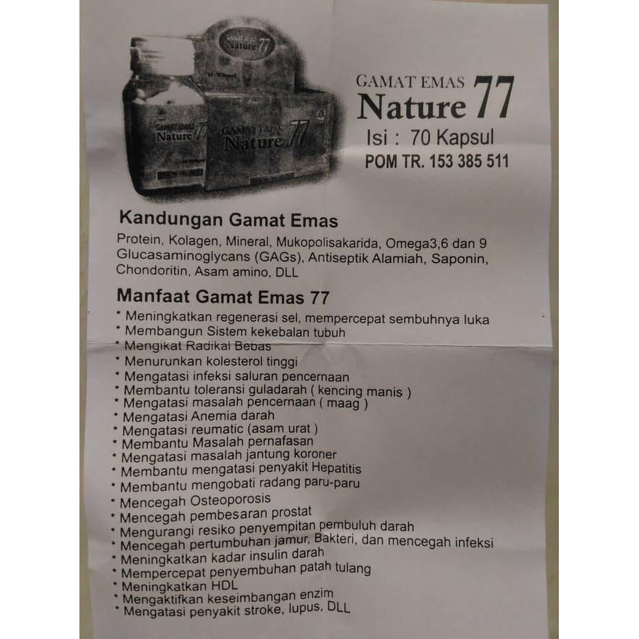 Supplier I Agen Kapsul Ekstrak Gamat Emas Nature 77 Indonesia