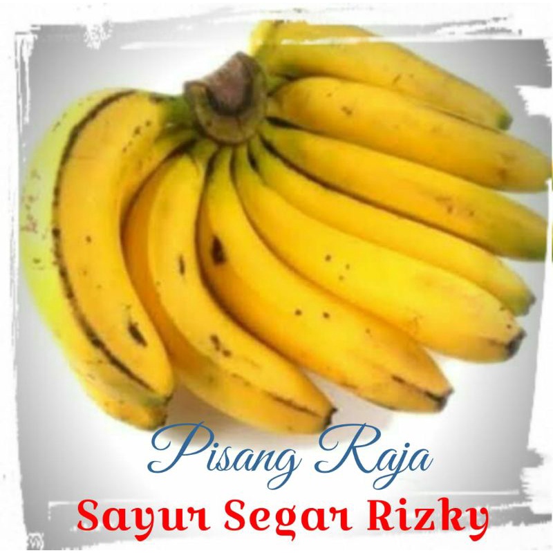 

Pisang Raja