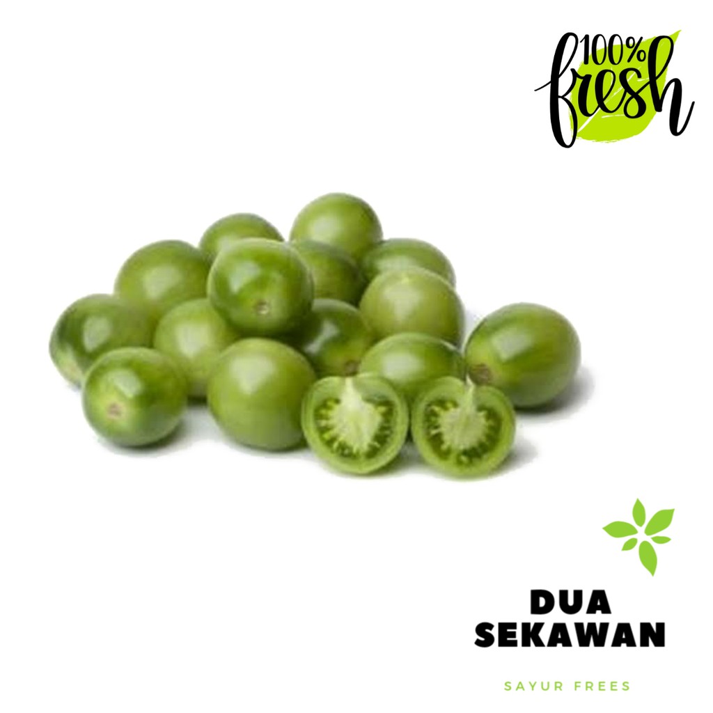 

Dua Sekawan | tomat hijau segar