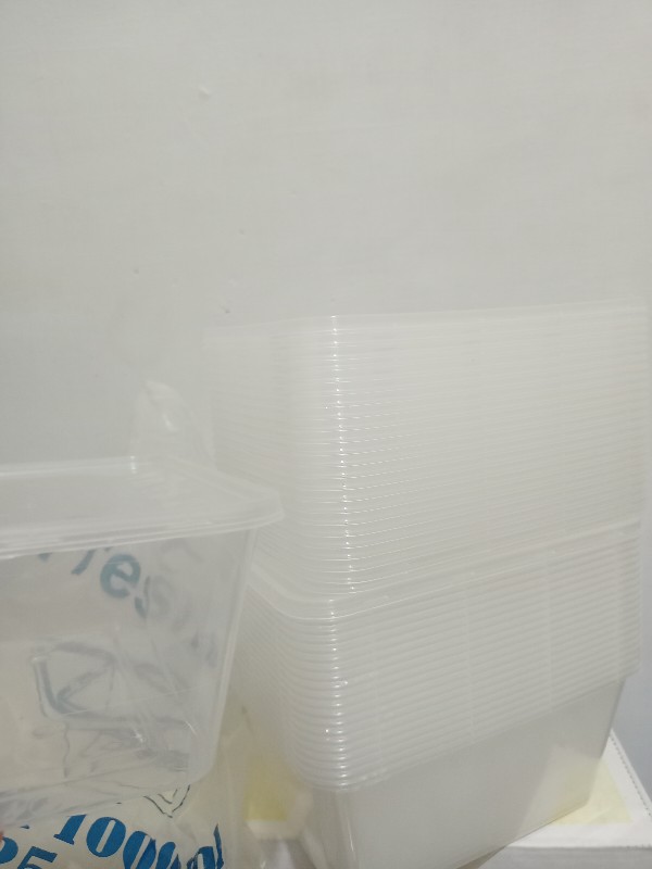 Thinwall 1000 Ml Rec(min Order 25 Dan Kelipatannya)