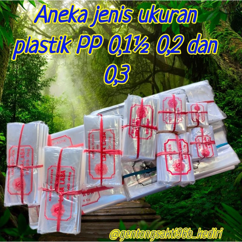 Plastik PP Laba Laba 1 ons _ 1 ½kg