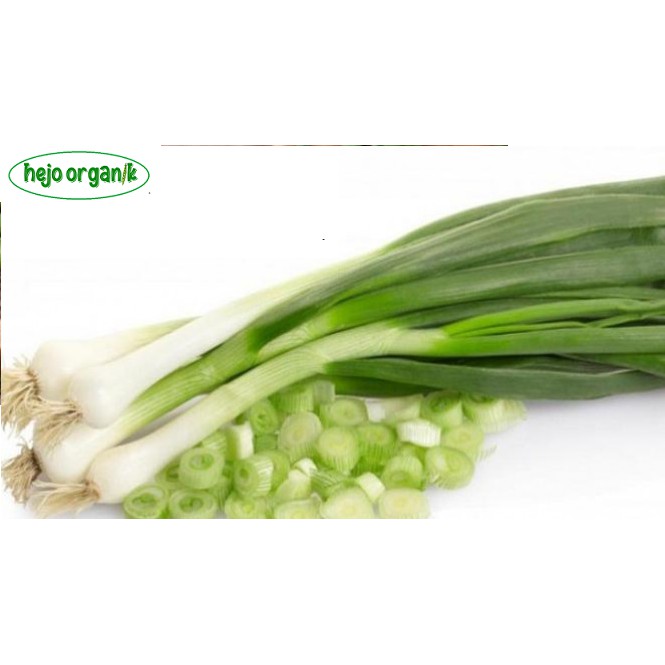 

PROMO BAWANG DAUN FRESH SAYUR ORGANIK SEGAR BANDUNG BEBAS PESTISIDA BEBAS GMO