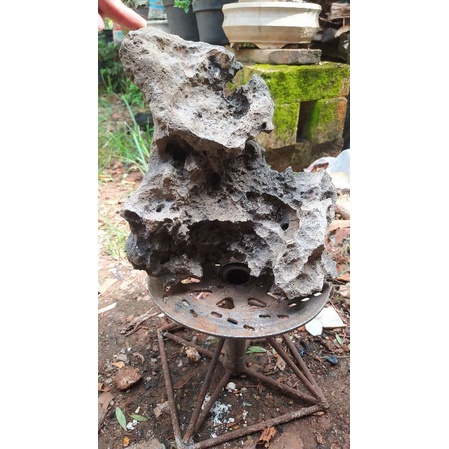 batu karang gunung untuk bonsai kesayangan anda realpict