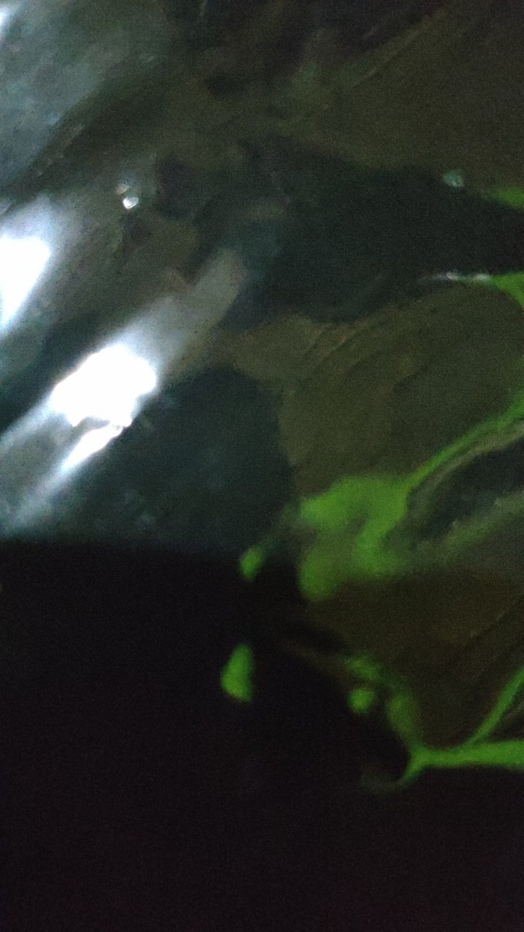 Kemeja Batik Pria Lengan Panjang Size M L Xl Xxl  Bswart Batik Hrb026 Kenongo Hem Panjang Pad