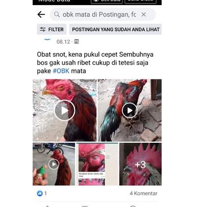 Wow Murah Meriah.. Obat Mata Ayam Obat Mata Burung , Obk Mata, Obk Mata Ayam