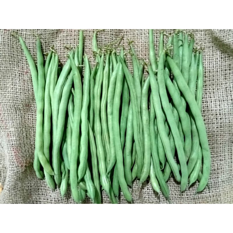 

SegarDailly Buncis 500g/Pack