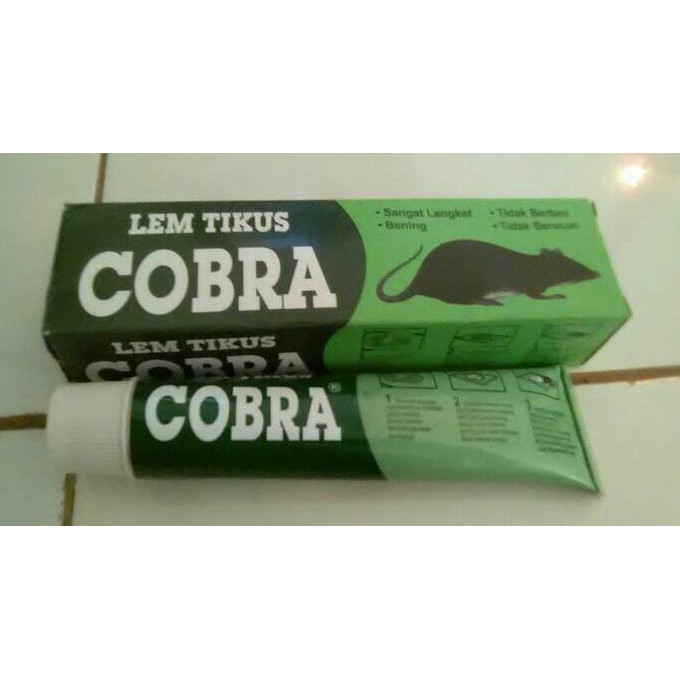 Termurah Lem Tikus Cobra Hq Berkualitas