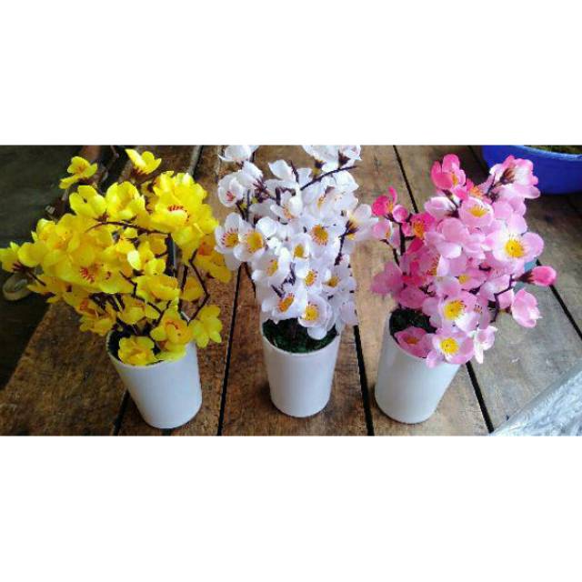 PB12 Bunga Sakura / Pot Bunga Sakura