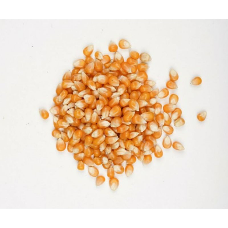 NINAKU Popcorn Jagung Kering Premium 250 Gram HALAL Dried Corn Berondong Jagung