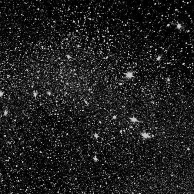 rahayusartikasembiring