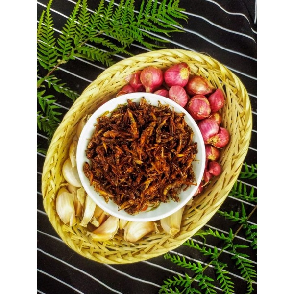 

Belalang Goreng Walang Goreng Kemasan Ekonomis 50 gr Bergizi Dengan Varian Rasa