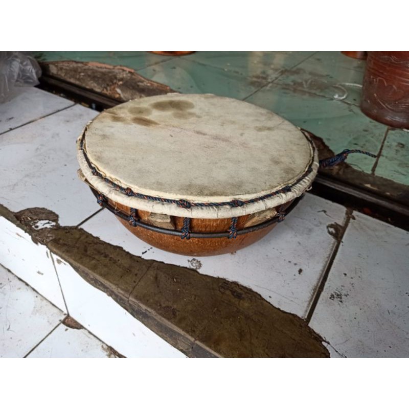 TIRINGTIT TERBANGAN PASEUK