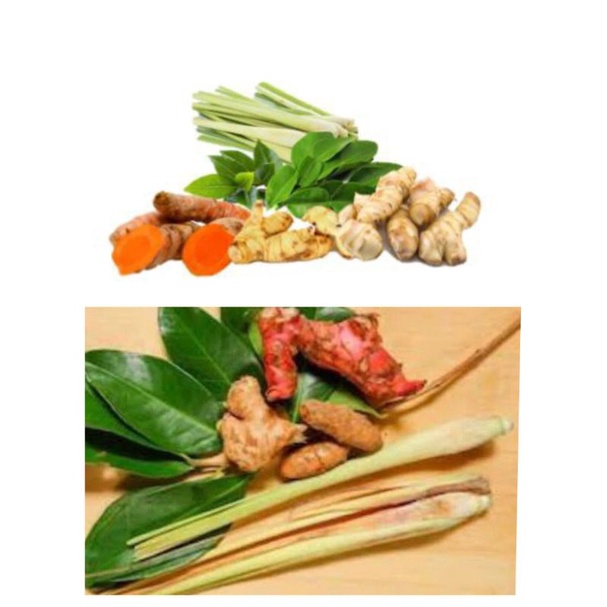 

PAKET BUMBU DAPUR REMPAH