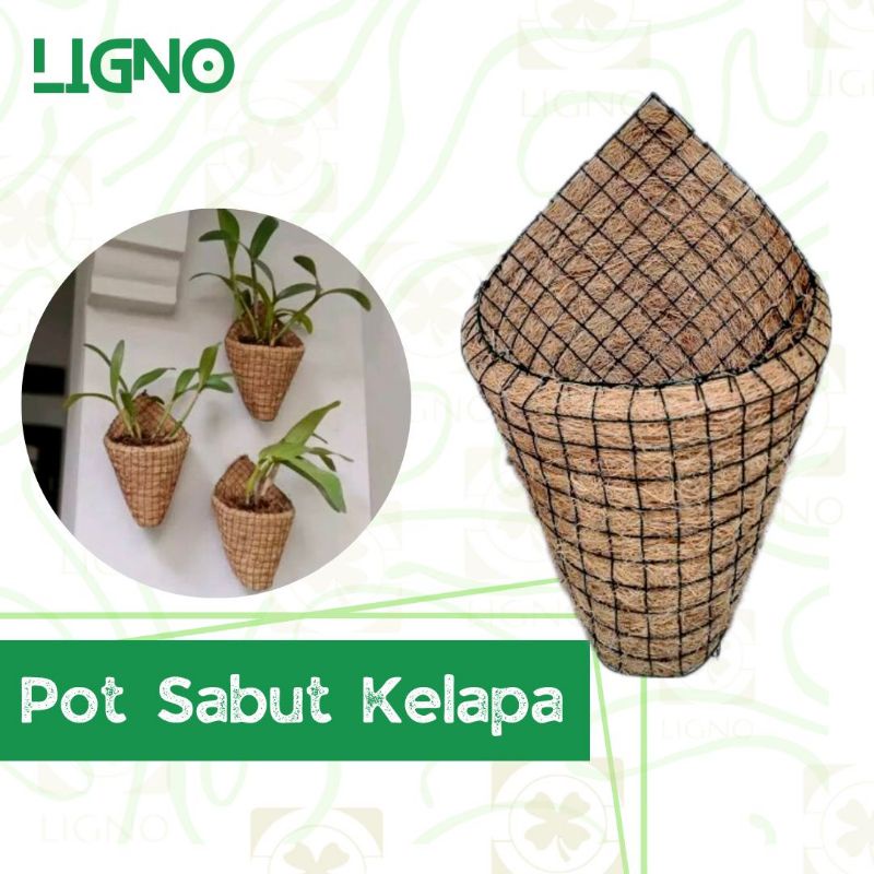 Pot Sabut Kelapa Tempel untuk Anggrek 12 cm