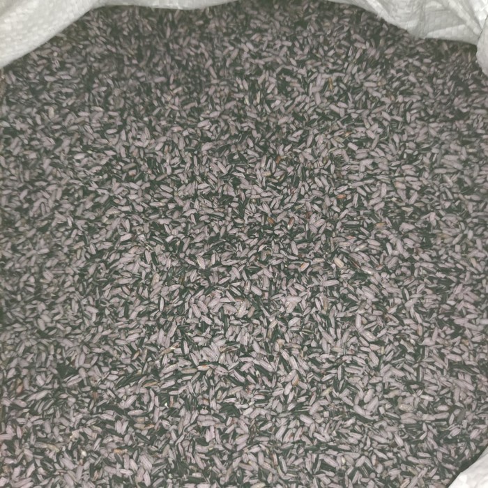 

KETAN-BERAS- BERAS KETAN HITAM SOSOH 1 LITER KUALITAS BAGUS -BERAS-KETAN.