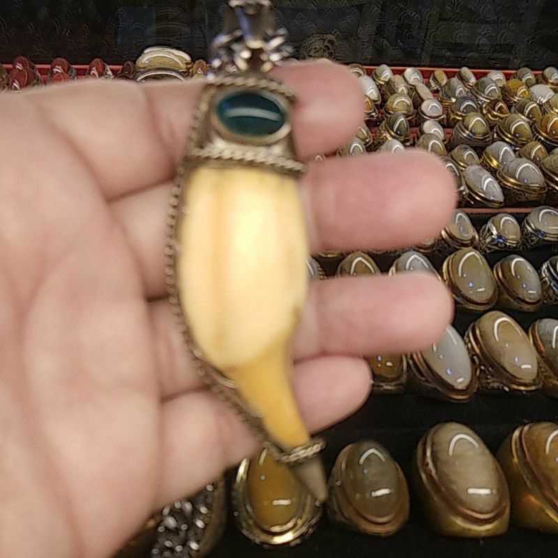 Liontin Taring Beruang lis perak