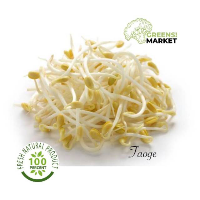 

Kecambah Besar Tauge Sayur Segar Online [Green Market]