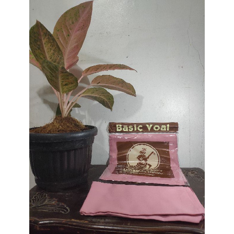 Hijab / Kerudung UMAMA Segi Empat Basic Voal Polos Warna Pink