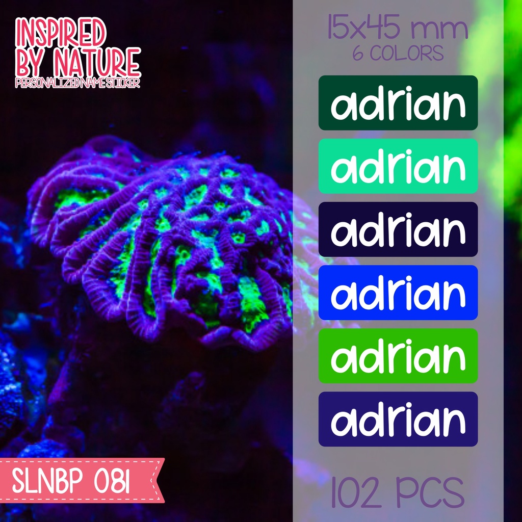 

Stiker label nama anak waterproof kartun sepatu buku sekolah SLNBP 081 - 090