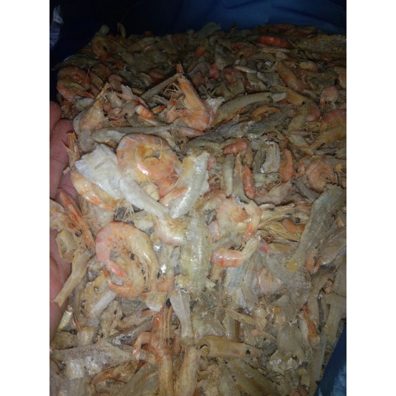 

Cokang Udang