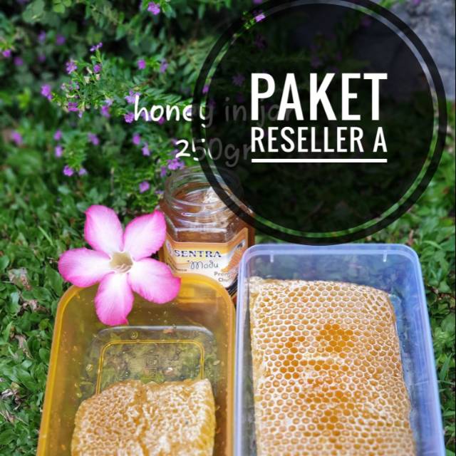

PAKET RESELLER A SARANG MADU SENTRA MADU