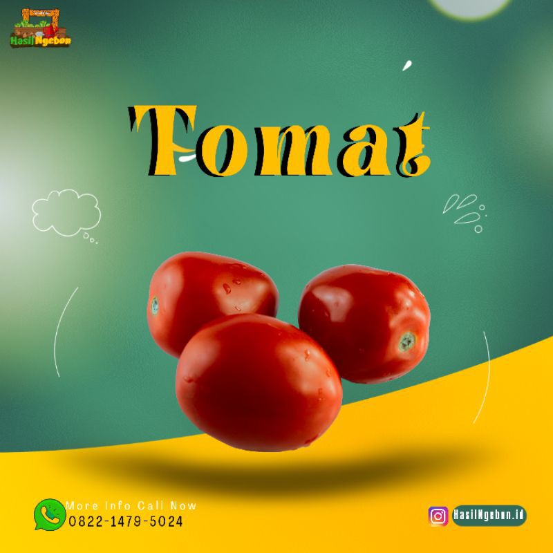 

TOMAT 500GR