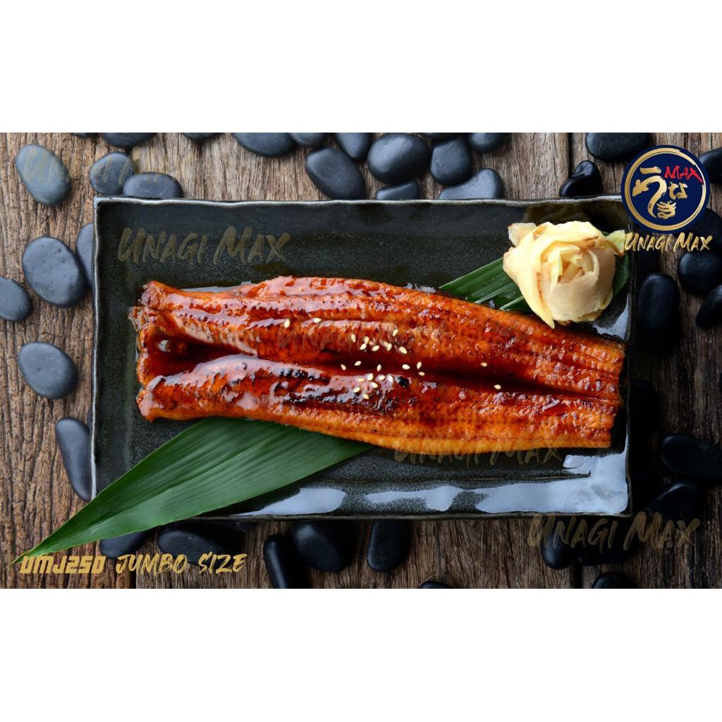Jual Unagi Terlengkap & Harga Terbaru Januari 2023 | Shopee Indonesia