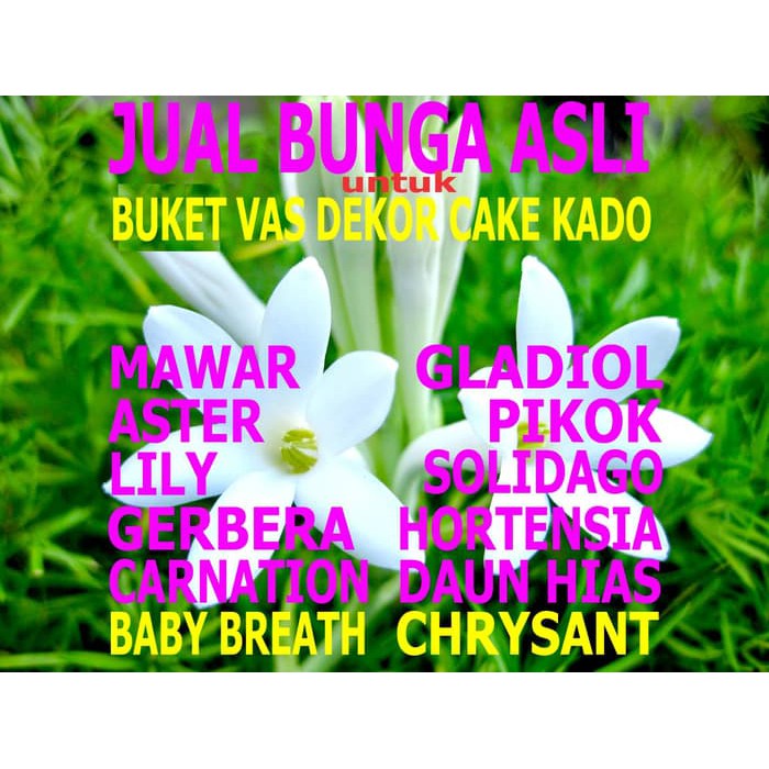 

Unik BUNGA ASLI - CUSTOM - PRE-ORDER Limited