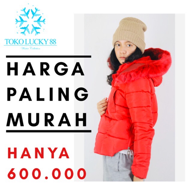 IMPORT MOLLAD Coat Parka Short Jaket Coat Parka Waterproff Windproff Hoodie Winter Musim Dingin Lapis Bulu