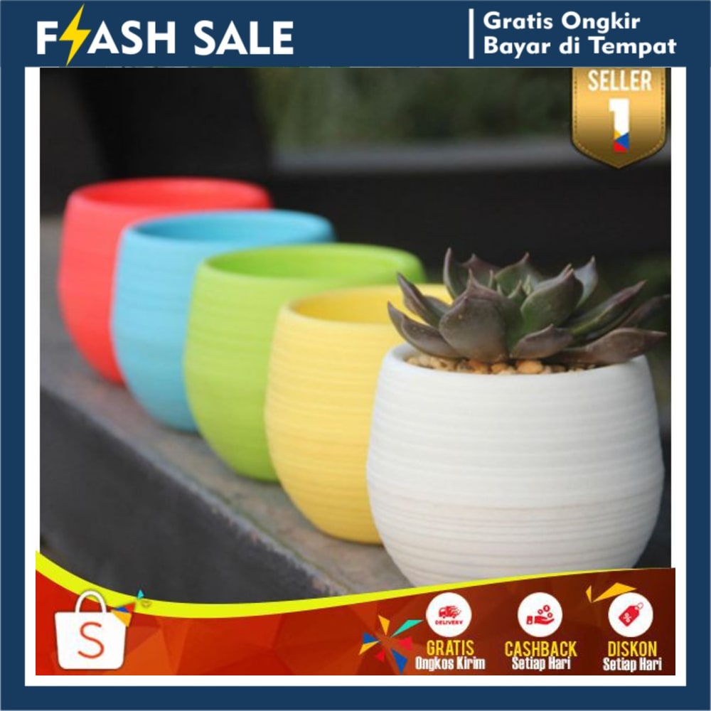 Pot Bunga Hias Mini Tanaman Kaktus 5pcs Pot Plastik Mini Unik Terbaru Hiasan Rumah Lucu Murah COD